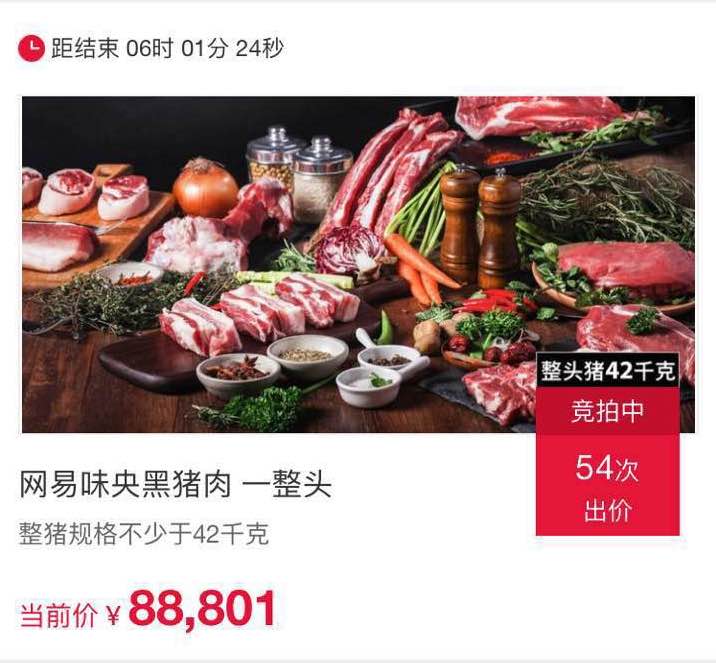 网易养猪业最新视频,网易养猪业