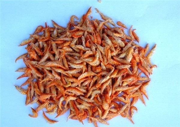 罗汉鱼起头鱼粮,新手养罗汉鱼如何选鱼