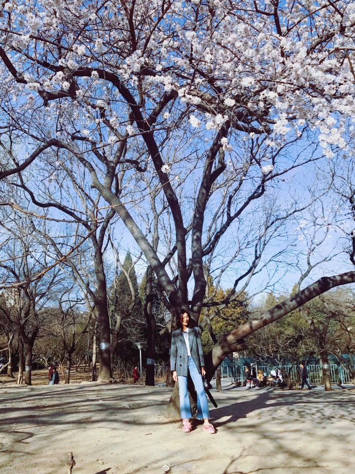 刘雯的最潮穿搭,刘雯的时尚穿搭推荐