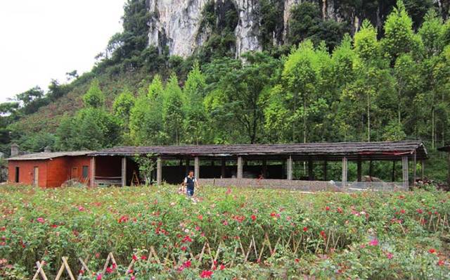 柳州周边好玩的农庄推荐,柳州周边农庄