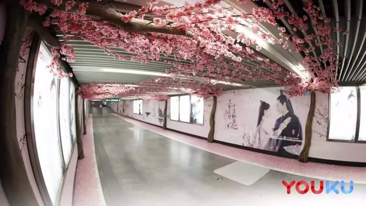 大女主古装IP盛行，《丽姬传》品质改编提升品类竞争力门槛