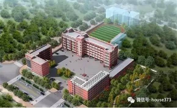 新乡种德小学是公办吗,种德小学最新规划