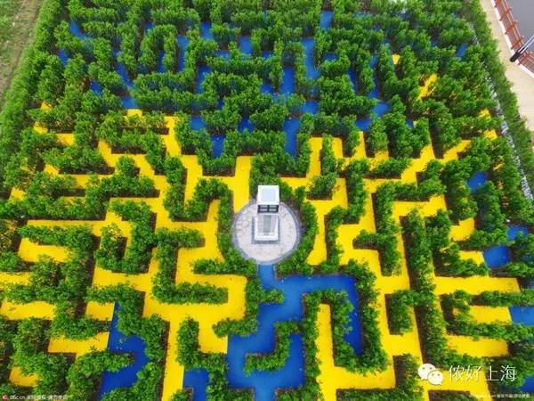 宁波好玩的迷宫,动心吗