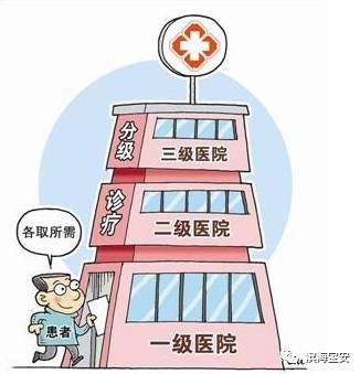 厉害了，今后宝安人民又多了一项傲娇的资本……