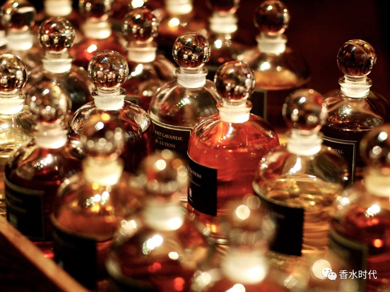 芦丹氏是沙龙香还是商业香,芦丹氏孤女沙龙香水