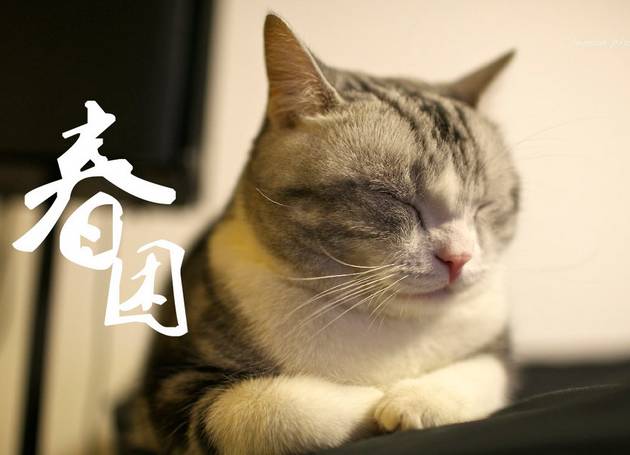 节气丨今日春分！春风十里的柔情！从*制抵**春困开始！