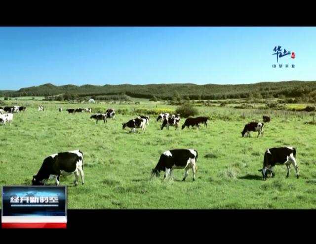 中垦乳业定边,中垦乳业有哪些产品