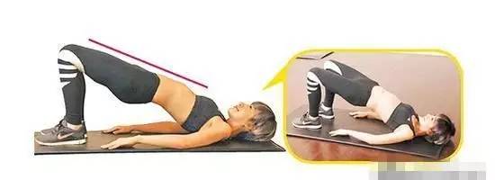 小腿结构图示图片,小腿骨骼构造示意图