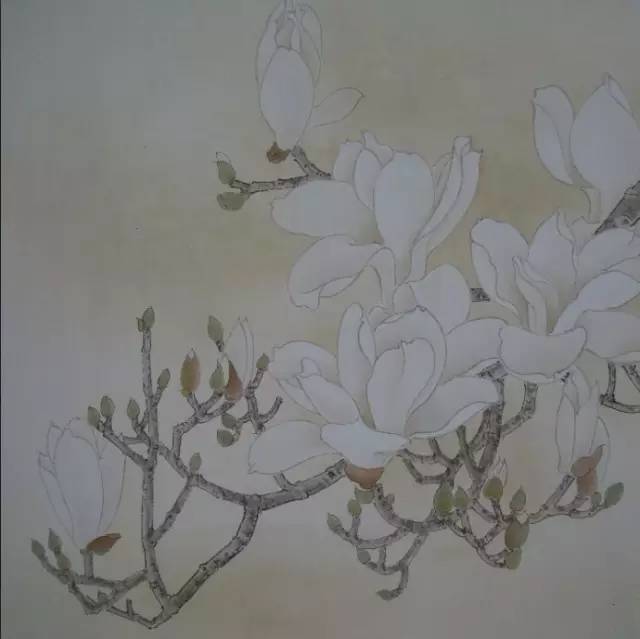 玉兰花儿童绘画,玉兰花绘画作品命名