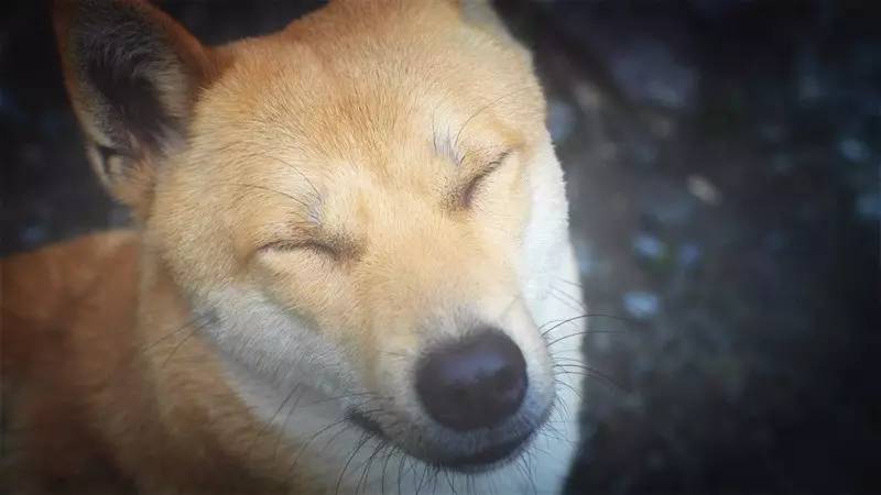 以旅行为生的人怎么做才有意义,如果去旅行应该问些什么问题