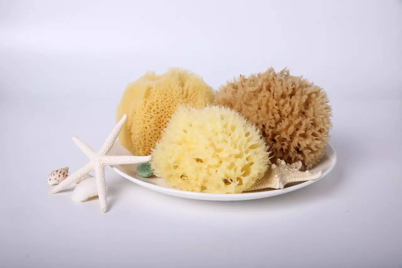 8.7免费皮肤福利,8月份福利皮肤