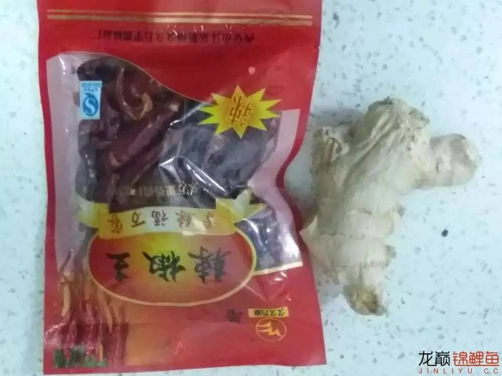 生姜加干辣椒治疗白点几天见效,治白点病用哪种干辣椒