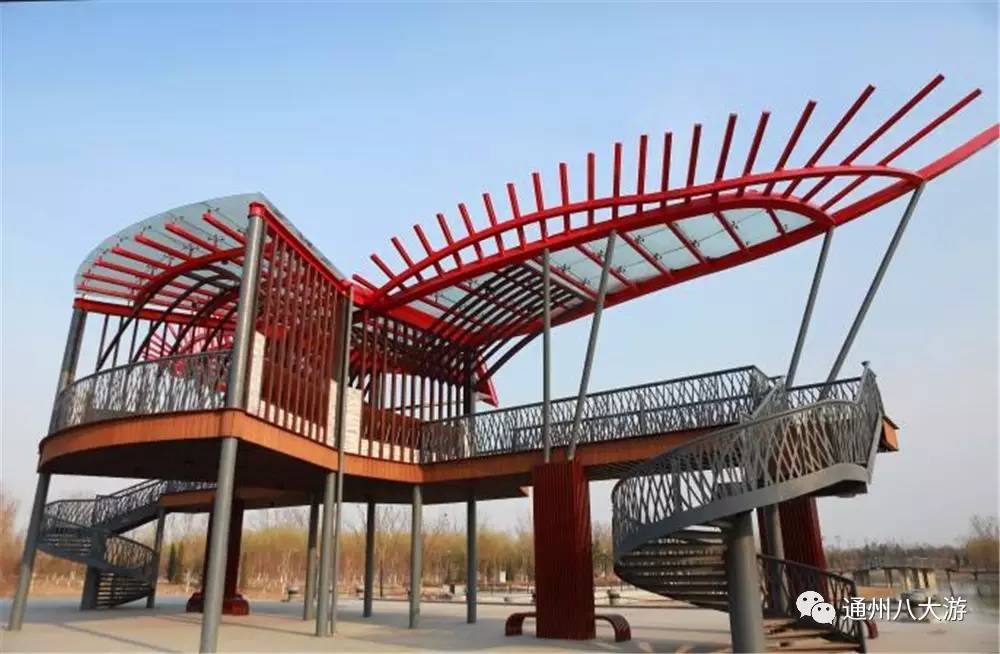 小小的世界大大的你免费观看,小小的世界大大的快乐