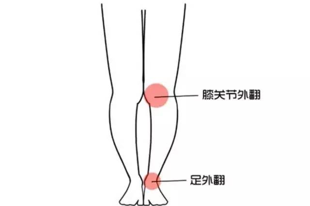 小腿结构图示图片,小腿骨骼构造示意图