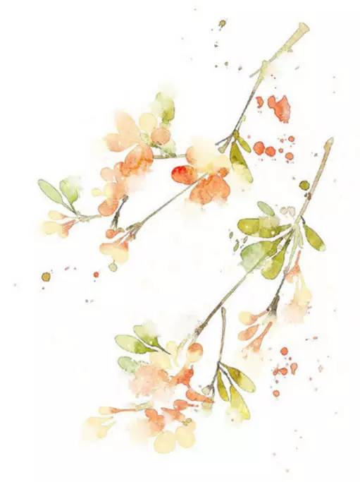 2020年国家公派研究生项目录取,国家公派留学研究生项目