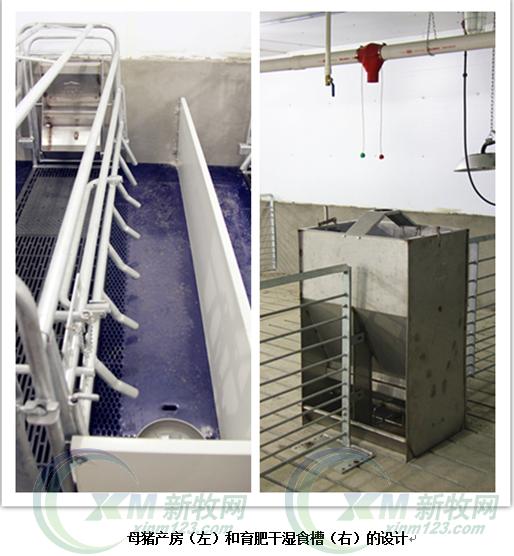 现代化育肥猪舍怎么建,低成本猪舍的建造