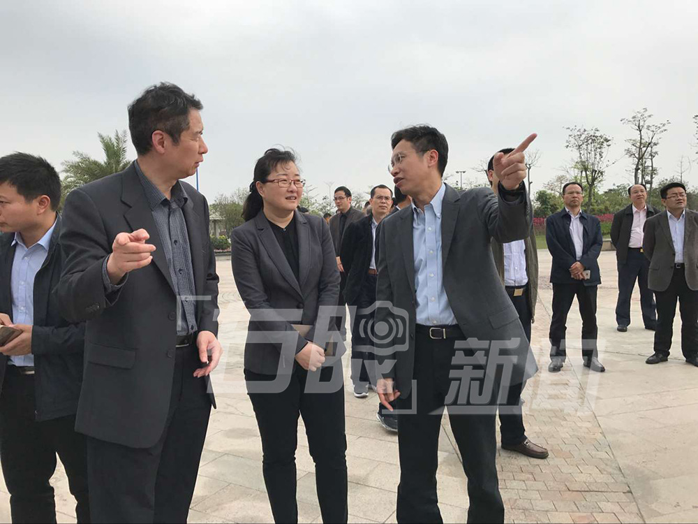 小家碧玉初长成的意思,小家碧玉初长成诗句