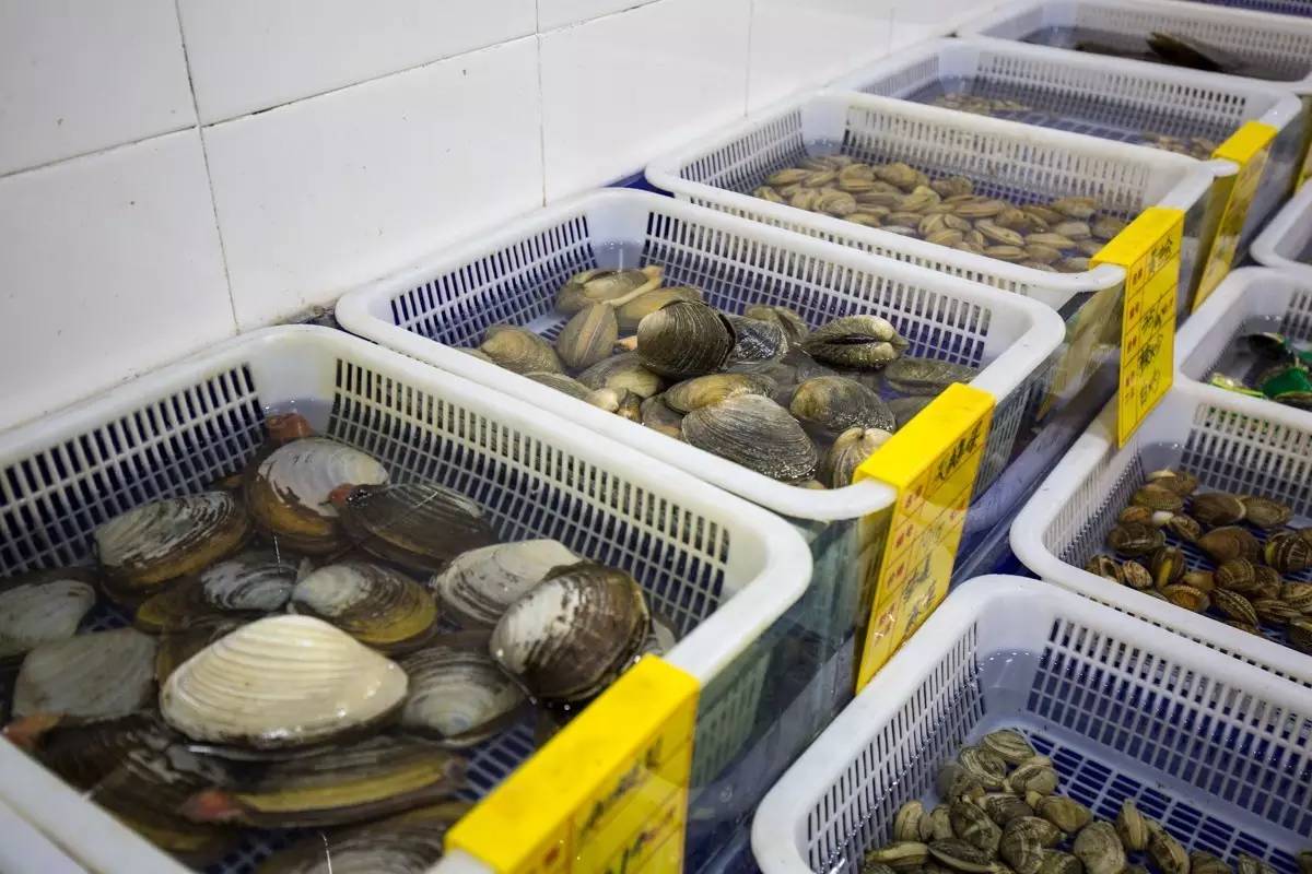 大连空运来的海洋馆，这家海鲜仓库简直是大海的搬运工对不起，你们的皮皮虾已经被我炒了