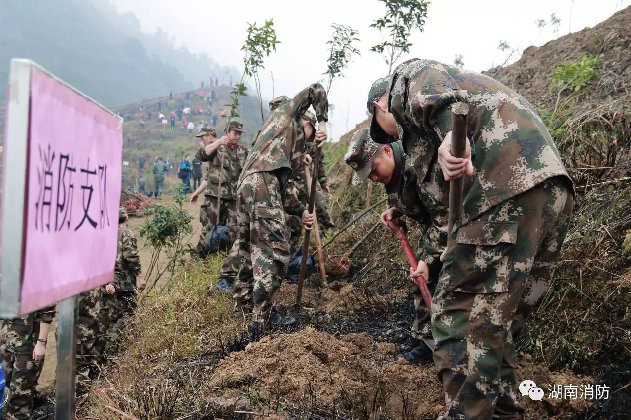 「新闻多看点」｜芳菲三月植树忙消防官兵助力森林城市创建；湘潭县消防大队打响“3.15”消防产品整治前哨战……