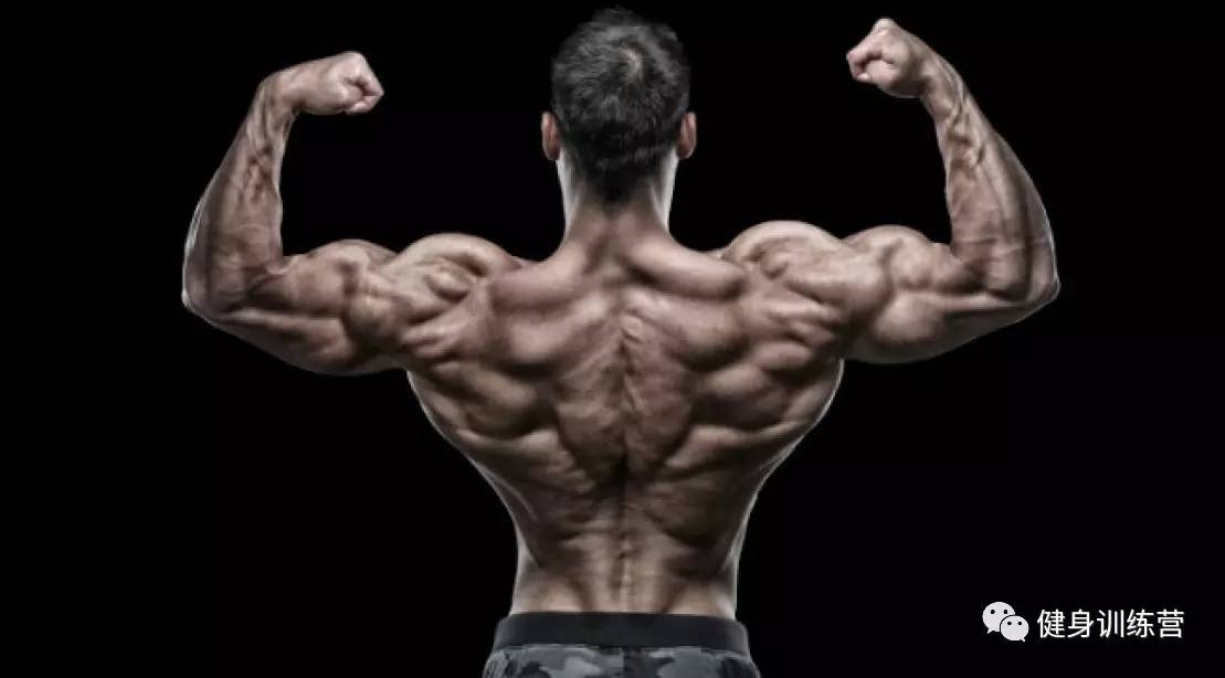 练背是手臂发力还是背发力,练背感觉手臂发力