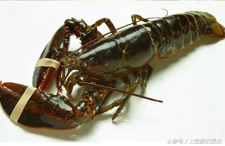 鸭头鸡头不能吃的原因,鸡头好吃还是鸭头好吃