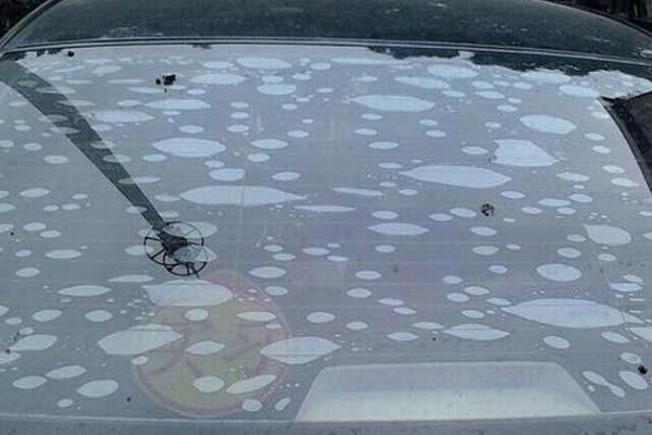 汽车膜kdx是什么品牌,汽车膜哪个品牌好性价比高