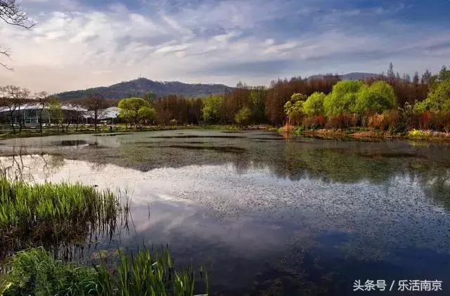 免费公园南京,南京十大公园排行榜