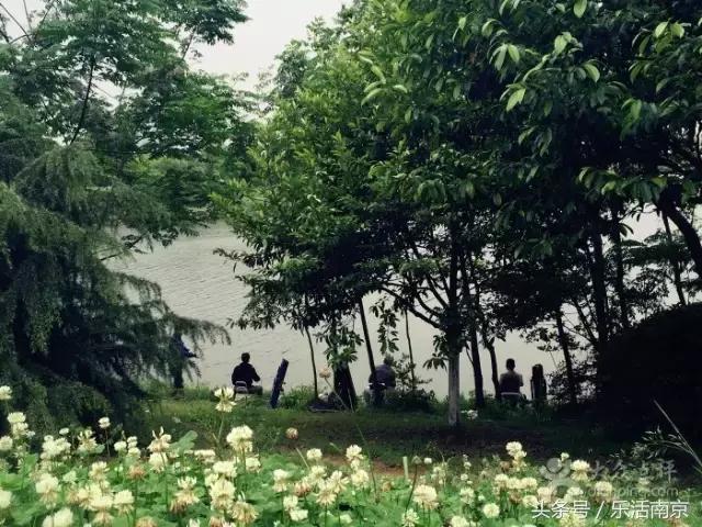 南京免费公园免费开放日一览表,南京最大的公园排名