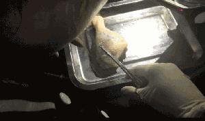 景甜竟然白过白人抖森？美白针的一切，这篇都有！