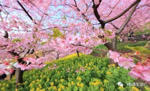 阎良旅游简介,阎良区旅游攻略图高清大图