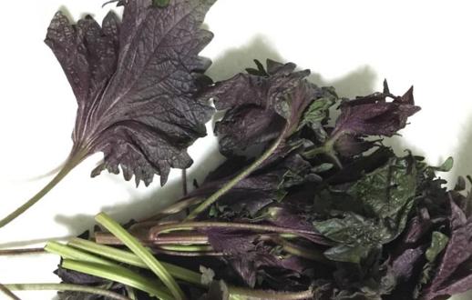 孩子一咳老母亲都紧张起来,孩子一咳嗽老人就焦虑