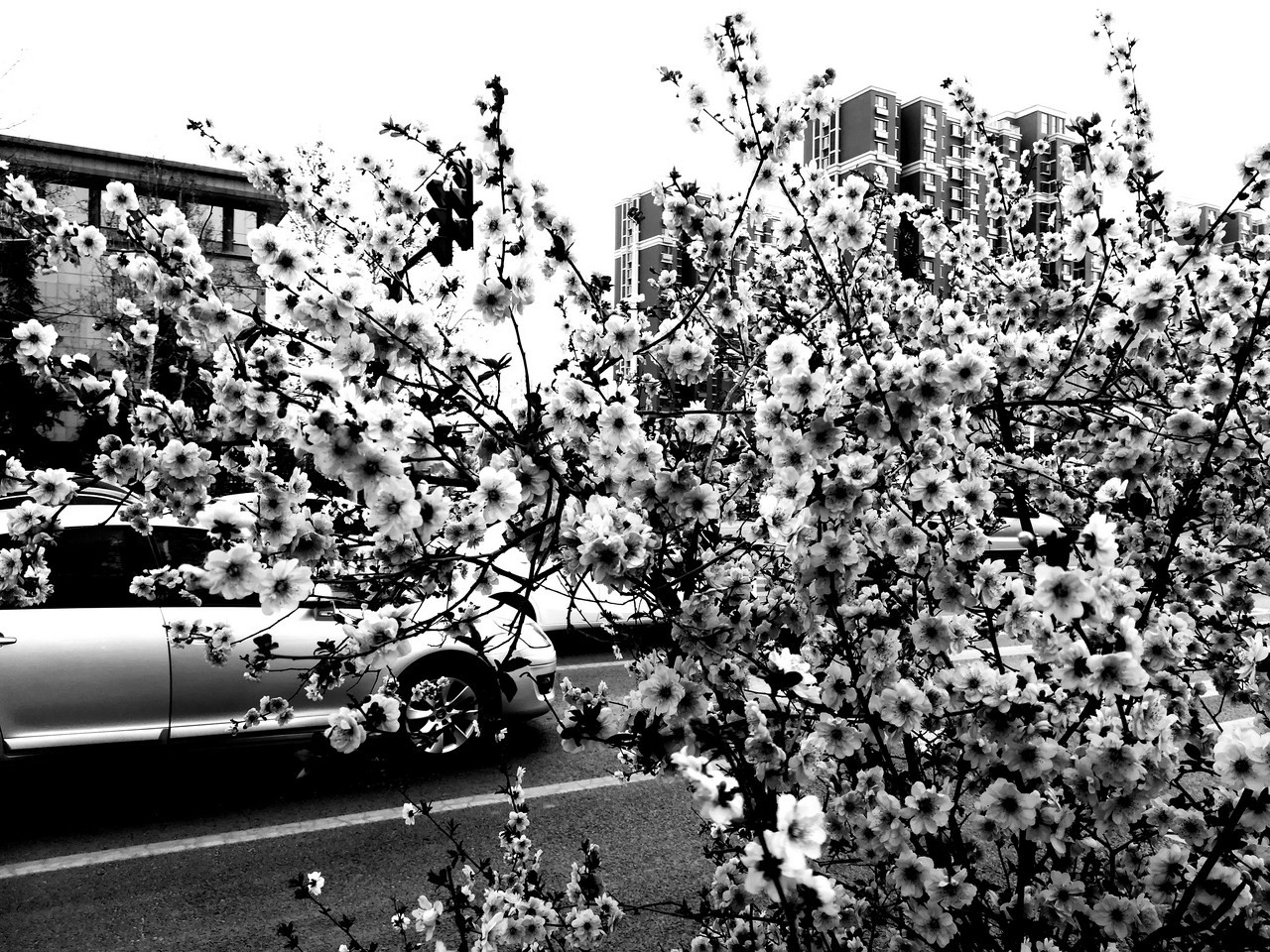 华为青春版荣耀8测评,我的地盘我做主718