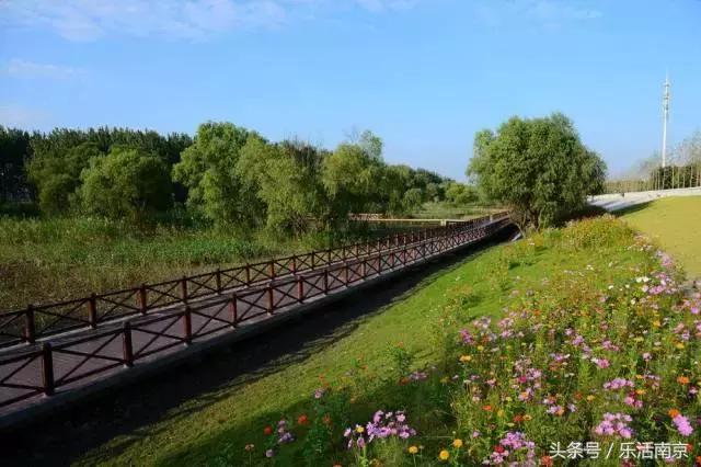 南京免费公园免费开放日一览表,南京最大的公园排名