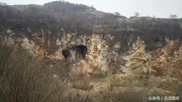 南京免费公园免费开放日一览表,南京最大的公园排名