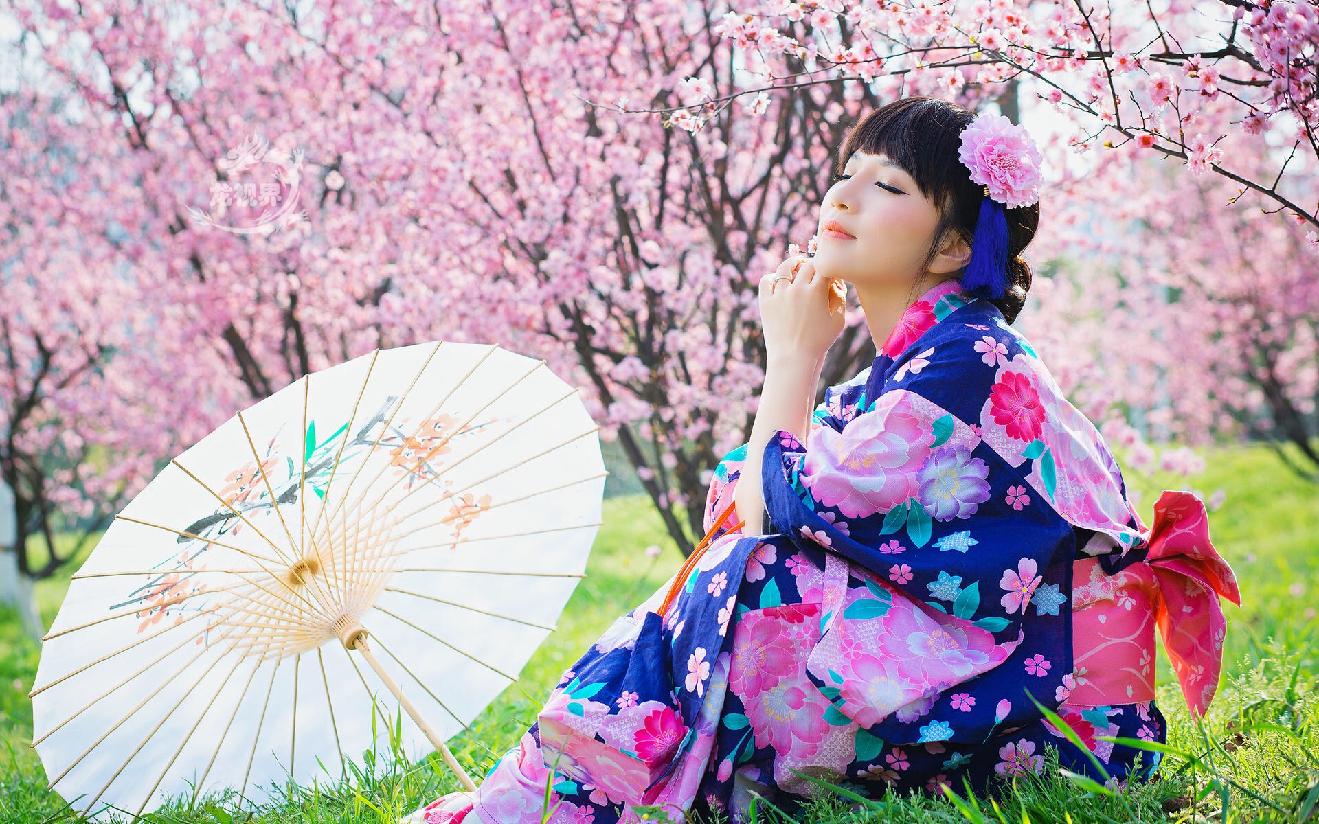 一番桃李花开尽的上一句,一番桃李花开尽全文