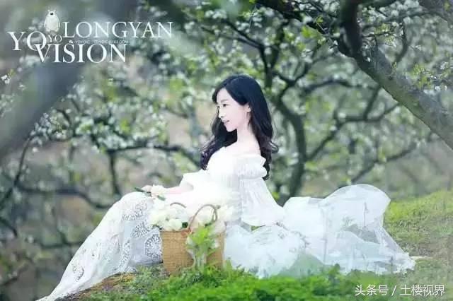 龙岩赏花景点,龙岩的花海