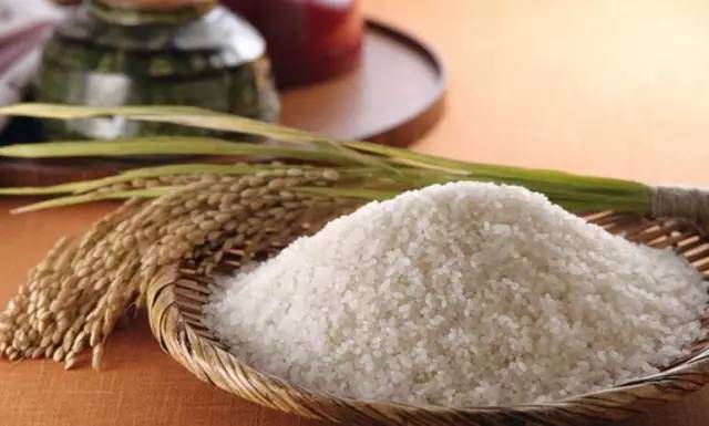 灵芝养生粥的配方,白芨和灵芝牛大力煲汤