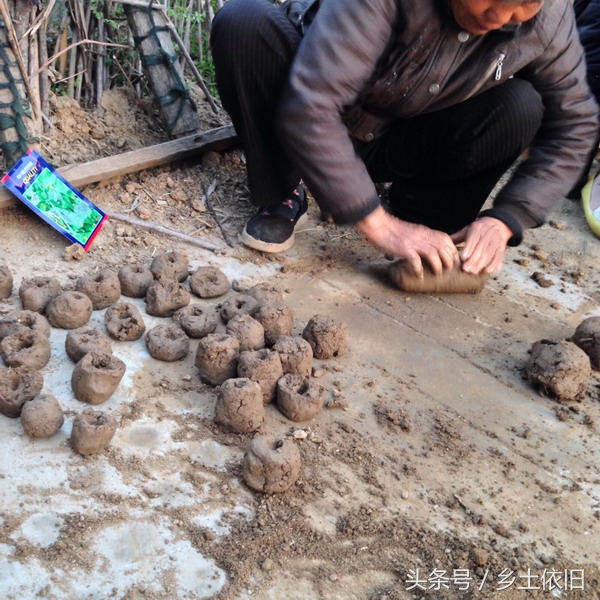 荒地种植蔬菜步骤和方法,土地怎么种蔬菜的教程