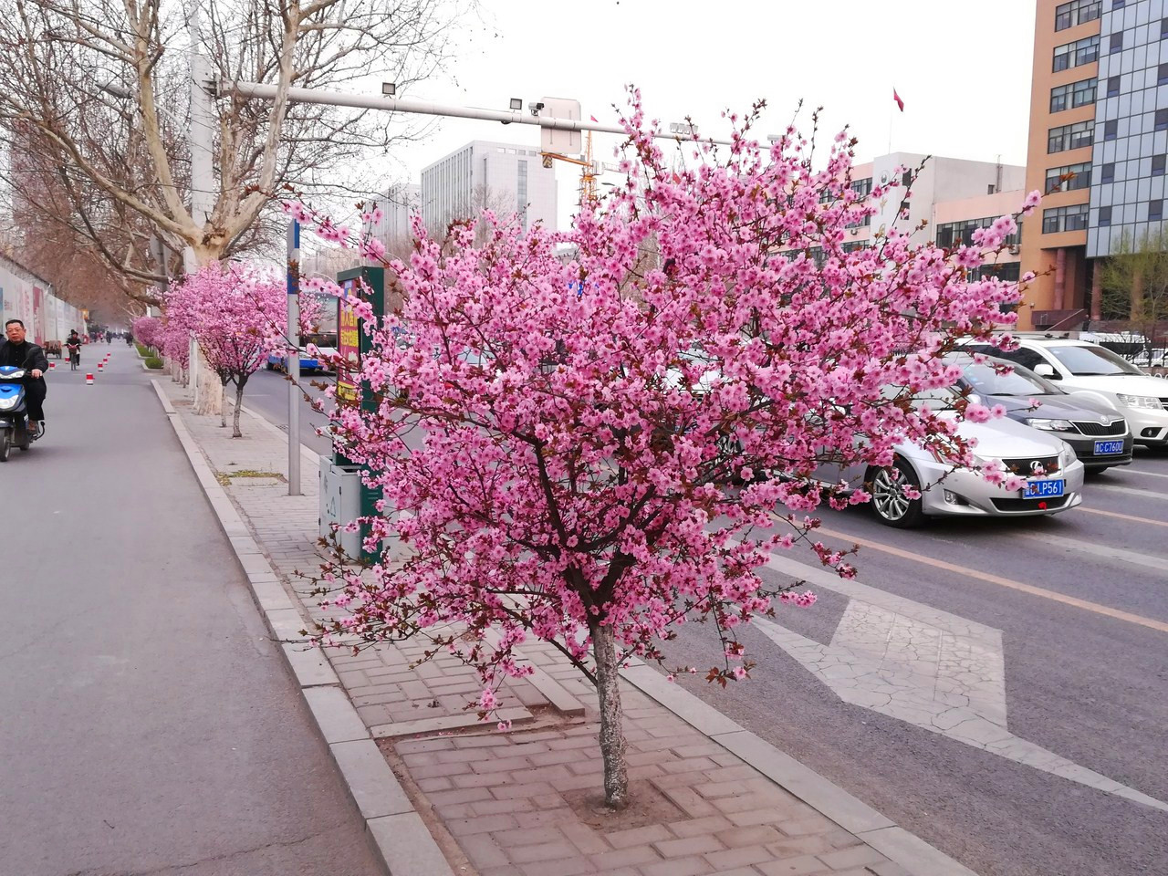 华为青春版荣耀8测评,我的地盘我做主718