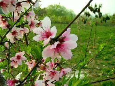 致镇江第一中学：我凭什么忘不了你