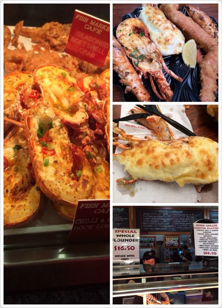 澳洲十日自助游推荐,澳洲10日自由行攻略