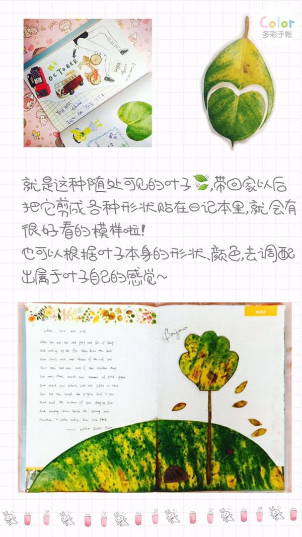 旅行手账初学教程,旅行手账完全指南