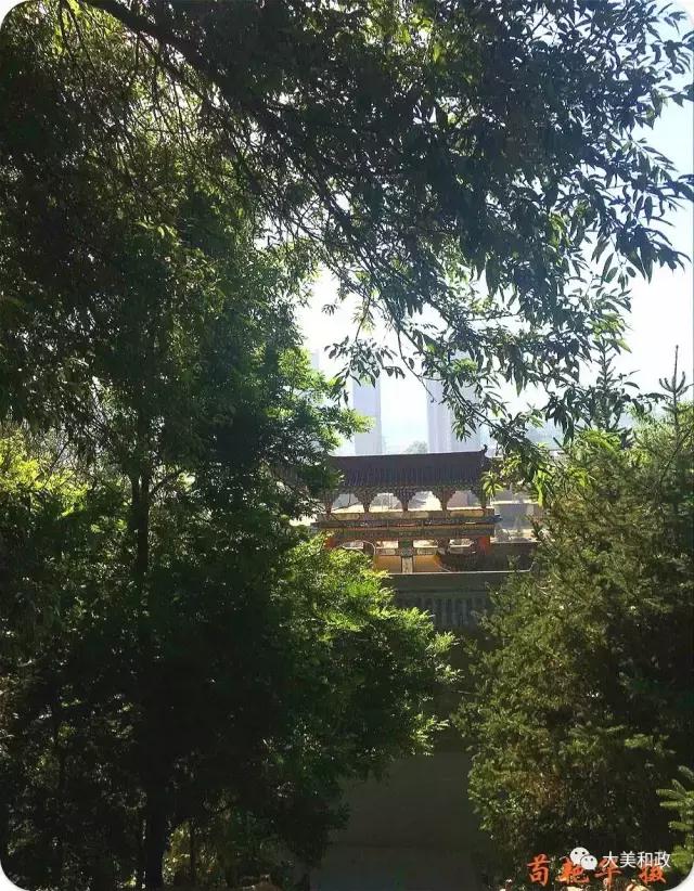 珠山公园旅游攻略,滴珠山公园景区