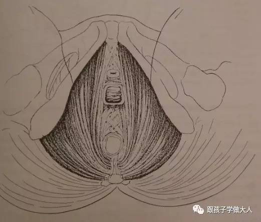 准妈妈顺产运动,准妈妈运动好处