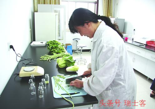 明年农业有哪些商机可以做,农业十大风口商机