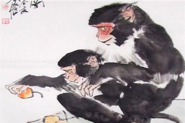 生肖属猴人2016年运势,1980年属猴未来5年运势