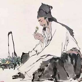 胡说中医基础理论29,胡说中医要点笔记