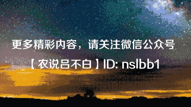 村淘现在怎么样了,马云搞农业