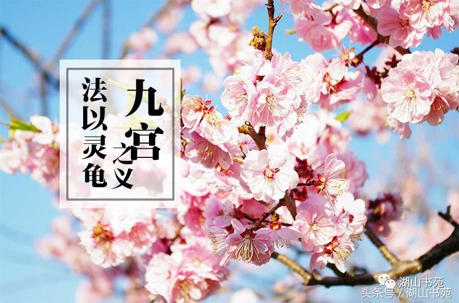 桃花岛桃花阵攻略,桃花岛奇门八卦之谜