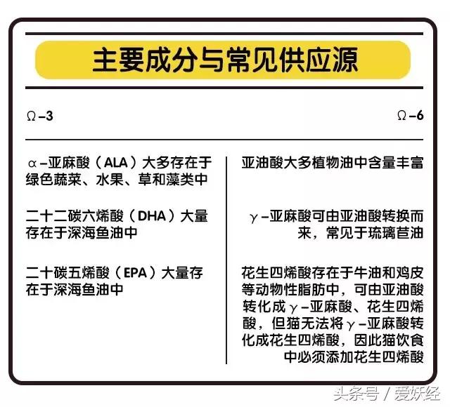宠物鱼油应该怎么喂,宠物鱼油科普